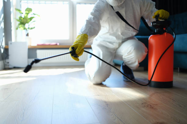 Reliable Infectious Disease Decontamination contractor in Victor, CA by Trauma Clean Pros